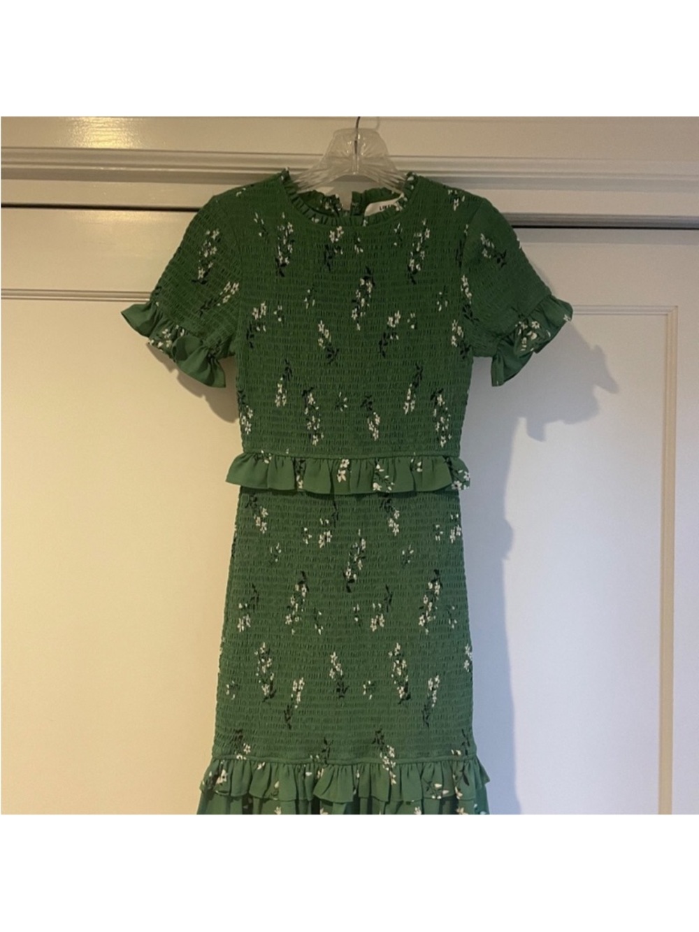 Likely Green Floral Mini Dress with Ruffle Trim - Picture 5 of 5